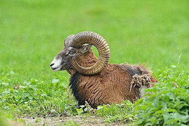 《卧龙：苍天陨落》v1.05补丁上线 增加高稀有物品掉落几率